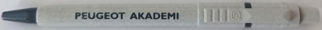 Peugeot Akademi